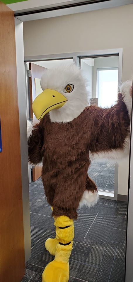 Eagle Survey